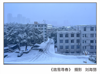校园风光